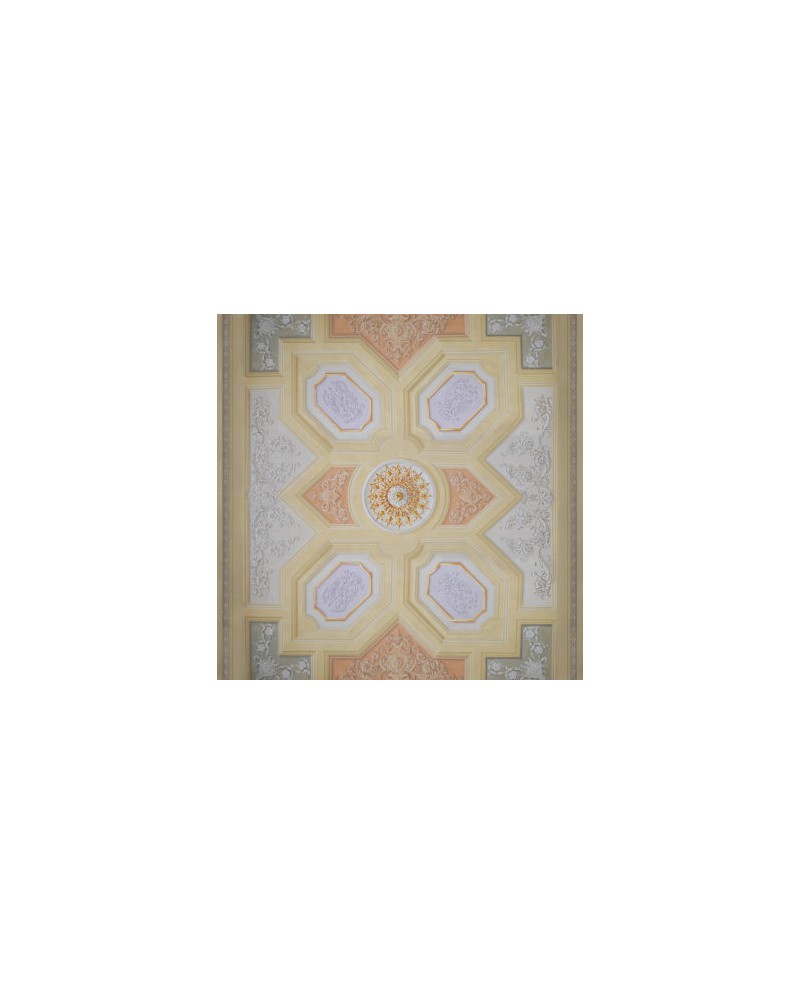 INKIOSTRO BIANCO CEILING PAPEL DECORATIVO VINILICO