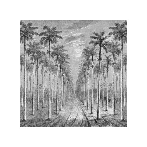 Inkioster Bianco Palmeraie Decorative paper Vinilico