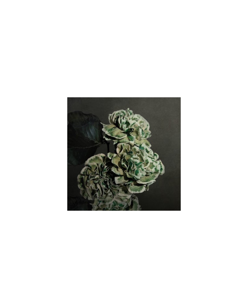 INKIOSTRO BIANCO HERA PAPEL DECORATIVO VINILICO