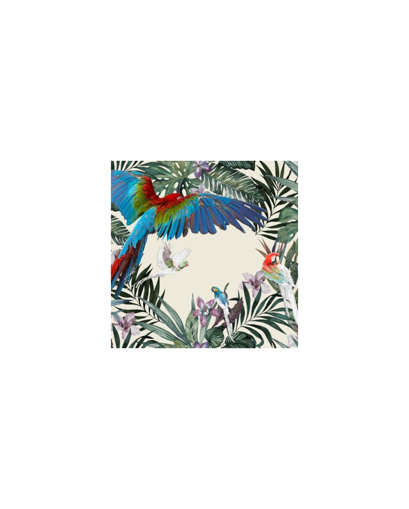 Inkiostro Bianco Parrots Decorative paper vinyl