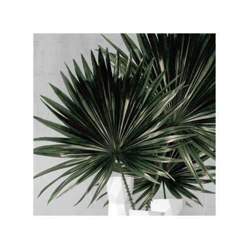 Inkiostro Bianco Miami Decorative Paper Vinilico