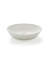 BATHCO TRIESTE Basin on countertop (various finishes)
