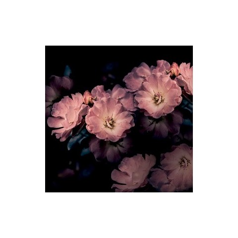 INKIOSTRO INEDITI CRUISE AROMA PAPEL DECORATIVO VINILICO