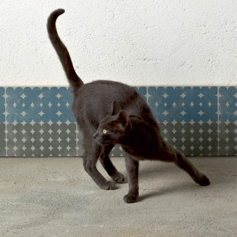 Pavimento y Revestimiento by Urquiola para Mutina | Terracerámica