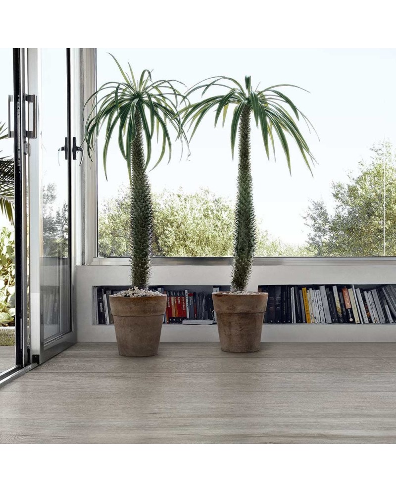 gran-formato-revestimiento-chimera-cedit-colore-gres-porcelanico-terra-ceramica