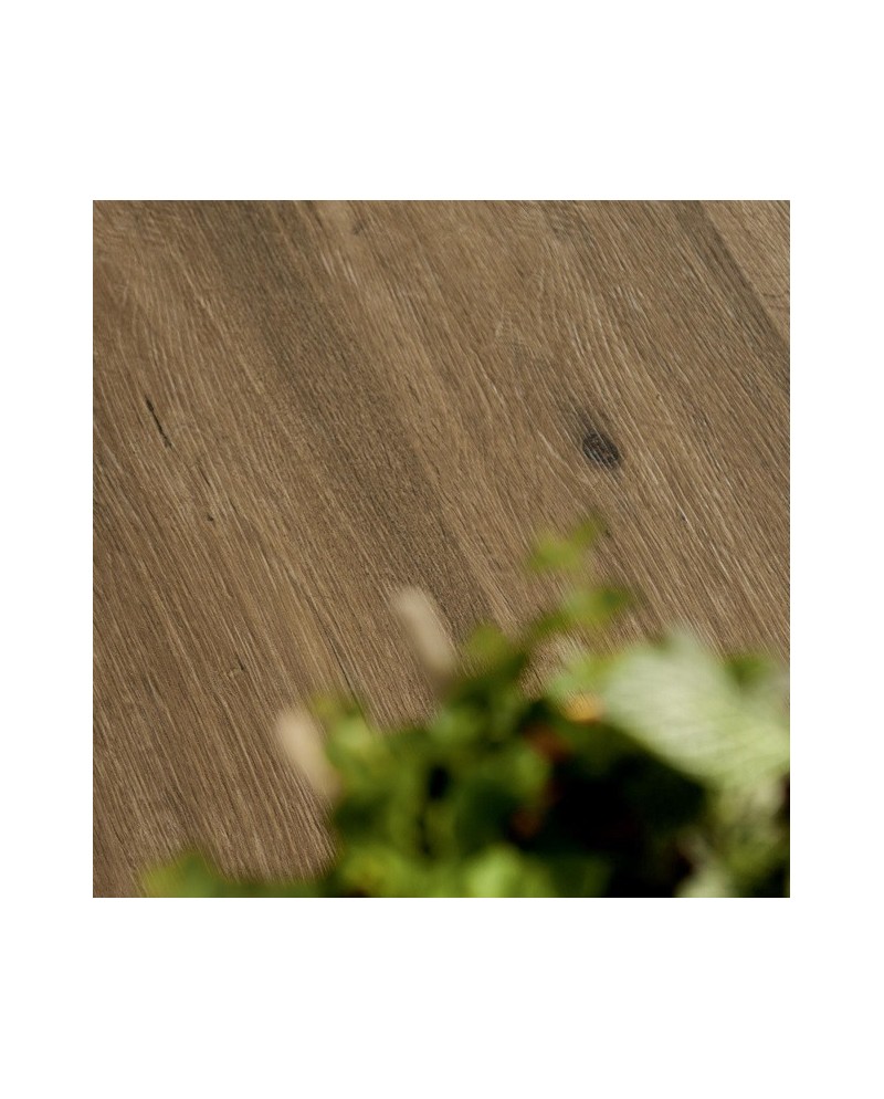Woodtale is a porcelain Ragno wood imitation |