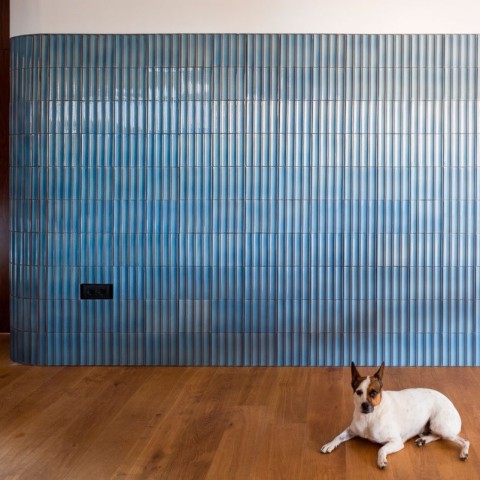 Relieve es una baldosa de terracota o vidriada | Terracerámica